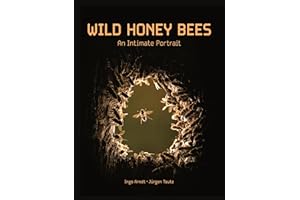 Wild Honey Bees: An Intimate Portrait
