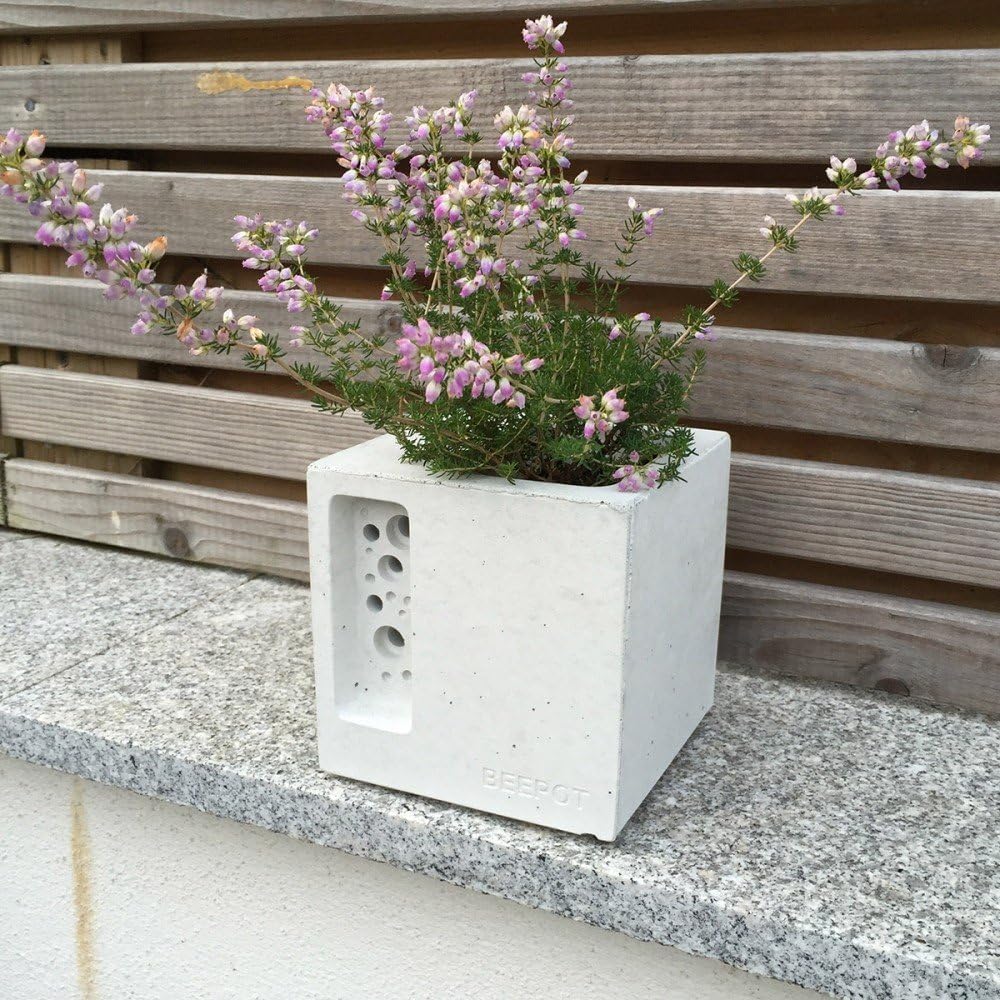 Nichoir à abeilles solitaires: Amazon.es: Jardín