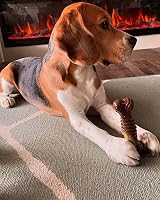 Nylabone Extreme Tough Dog Chew Toy Bone Medium Up to 16 kg view 2