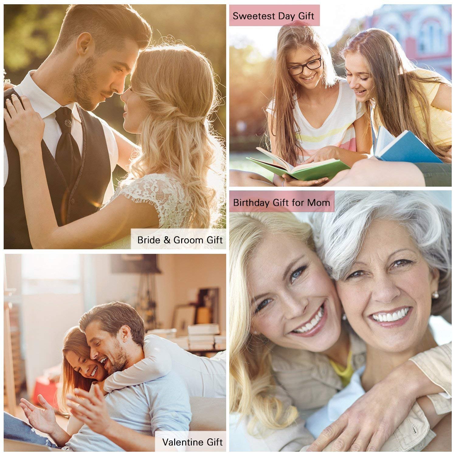 NICEAO 24K Gold Foil Trim Red Rose Flower Long Stem with Transparent Stand, Best Gift for Valentines Day, Mothers Day, Anniversary, Wedding, Birthday Gift, Treating Yourself (Blue)