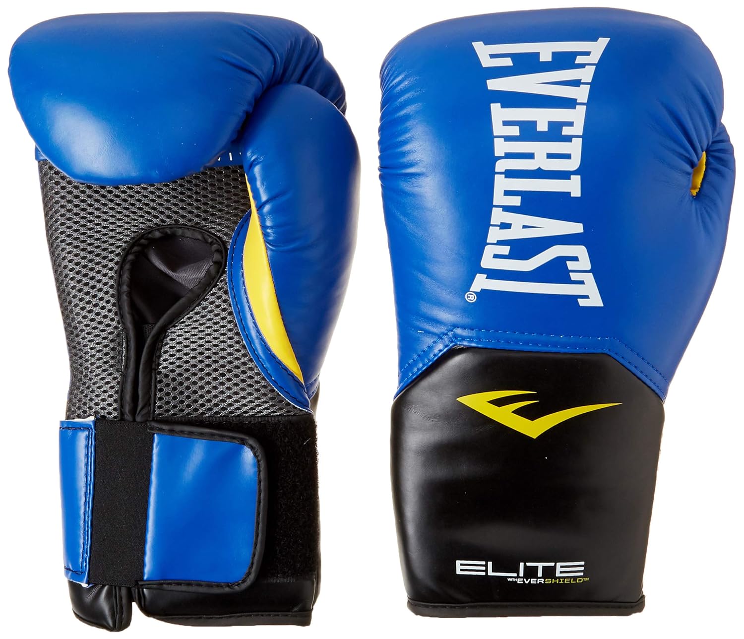 www everlast com boxing