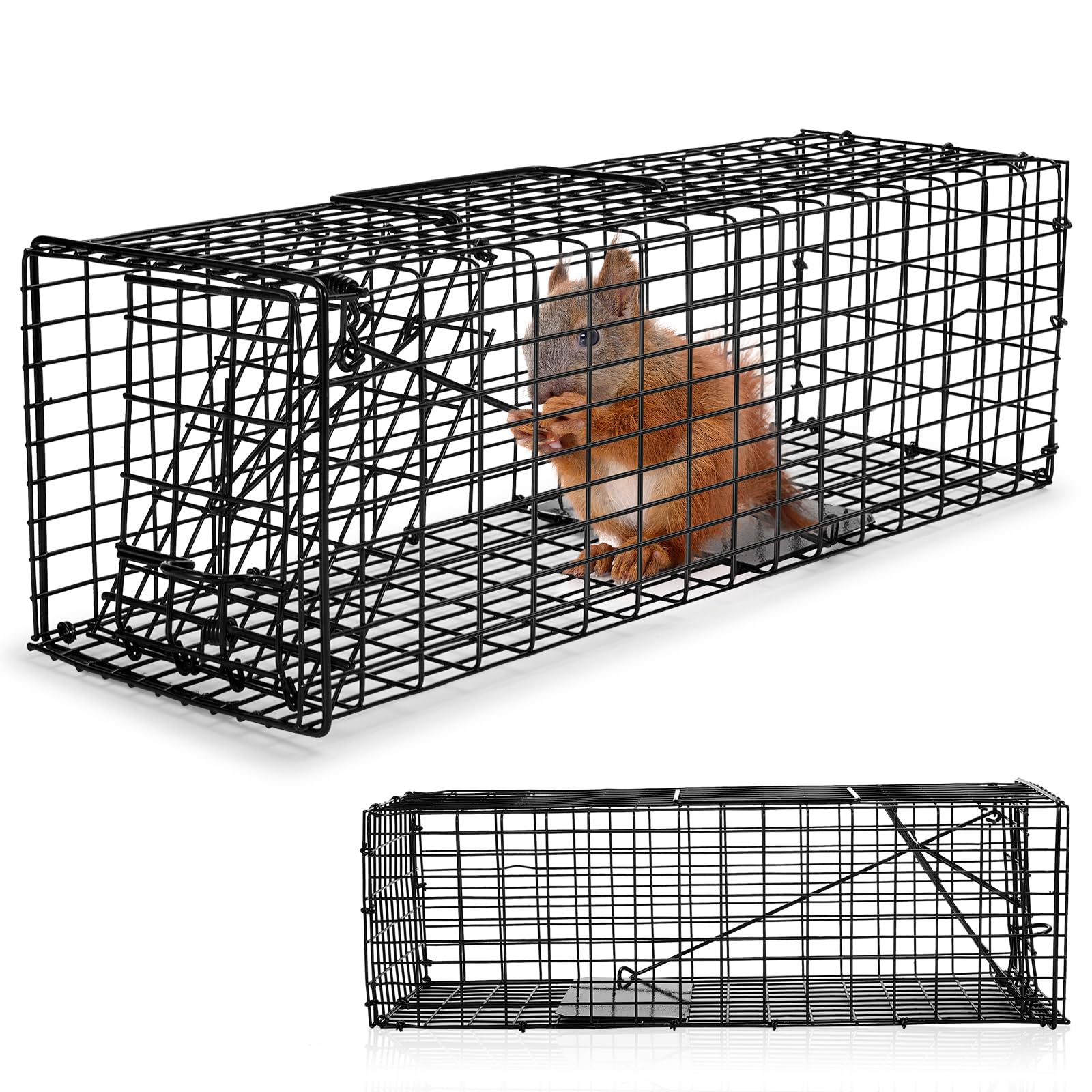 Photo 1 of Qualirey 2 Pcs Humane Squirrel Trap Heavy Duty Live Animal Chipmunk Catch and Release Rat Trap for Outdoor Small Animals Mouse Raccoon Stray Cat Rodent Weasels(Black)