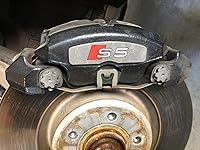 Review Image by Dog face