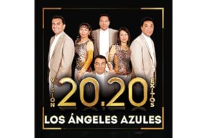 Vision 20.20 Exitos (WM)