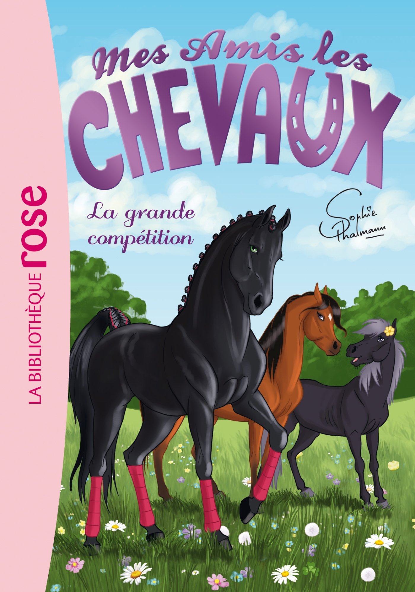 Amazon Fr Mes Amis Les Chevaux Tome 2 La Grande Competition Thalmann Sophie Godeau Natacha Livres Amazon Fr Mes Amis Les Chevaux Tome 2 La Grande Competition Thalmann Sophie Godeau Natacha Livres
