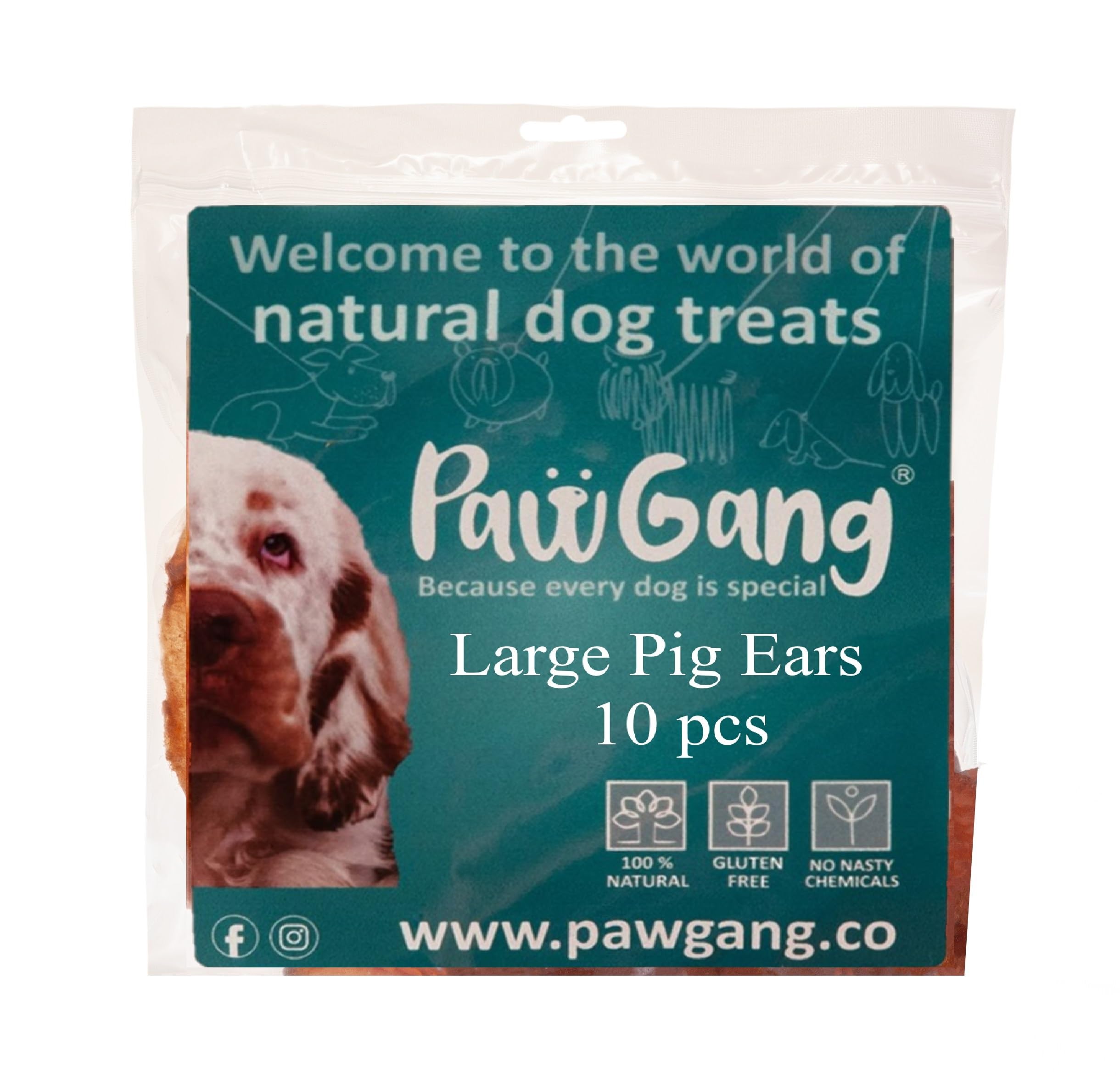 PawGang - Large Pig/Pork Ears 10 pcs - 100% Natural Treats for Dogs Young Adult Old Small and Large Dog - Air Dried Chews Snacks - Healthy Hypoallergenic - Low Fat Grain Free - Barf Raw
