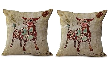 Amazon Com Set Of 2 Taurus Zodiac Cushion Cover Discount Throw