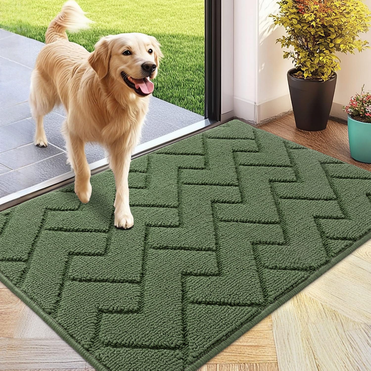 Biscpro Door Mat 60x90cm,Indoor DoorMat Washable,Doormat Indoor Dirt Trapper Non-slip,Absorbent Inside Entrance Rug Floor Mat for Entryway,Patio,Garden,Laundry Room,Pets - Green