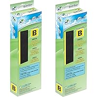 Germ Guardian FLT48252PK HEPA Genuine Air Purifier Replacement Filter B Multi-Pack for GermGuardian AC4300BPTCA, AC4900CA, AC