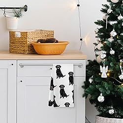 Yorhifa Black Labrador Retriever Dog Kitchen Dish