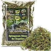 Sukh Sphagnum Moss for Reptiles - Green Terrarium Moss Substrate, 5oz | Habitat Bedding for Gecko, Snake, Turtle, Frog, Bearded Dragon, Jumping Spider, Chameleon, Enclosure &amp; Tank Accessories Decor