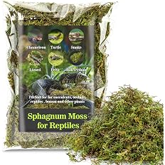 Sukh Sphagnum Moss Green Terrarium Substrate 5oz for Reptiles