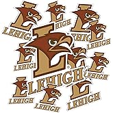 Desert Cactus Lehigh University Sticker Mountain Hawks Sticker Vinyl Decals Laptop Water Bottle Car Scrapbook T3 (Type 3-1)