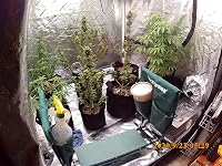 Review Image by @nervousgardens @nervousgardens