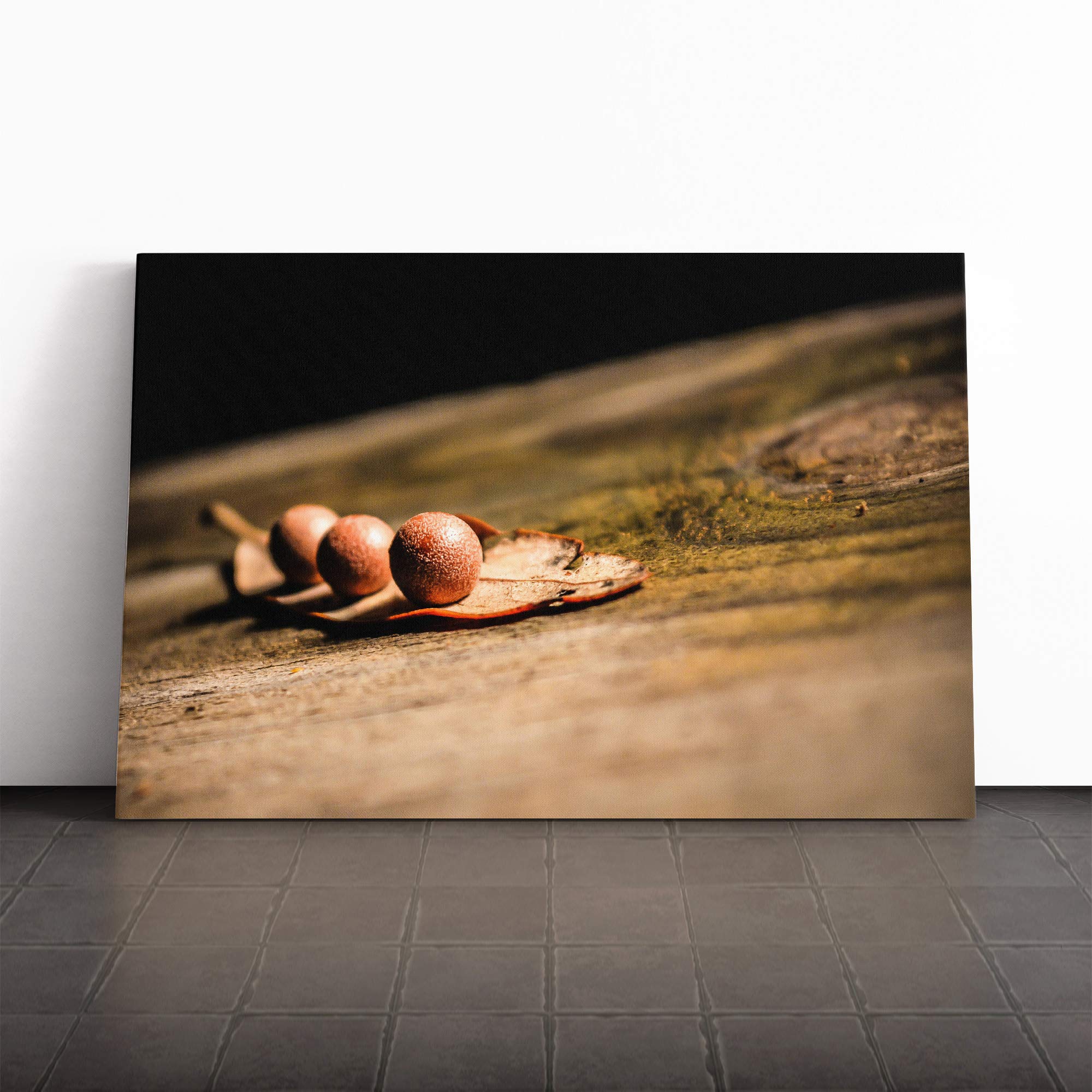 Landscape Tree Stump Canvas Print | Gallery Wrapped 30mm Frame Wall Art | 20x14 inches | Ready to Hang | Modern Landscape Picture | Living Room Bedroom Lounge Office