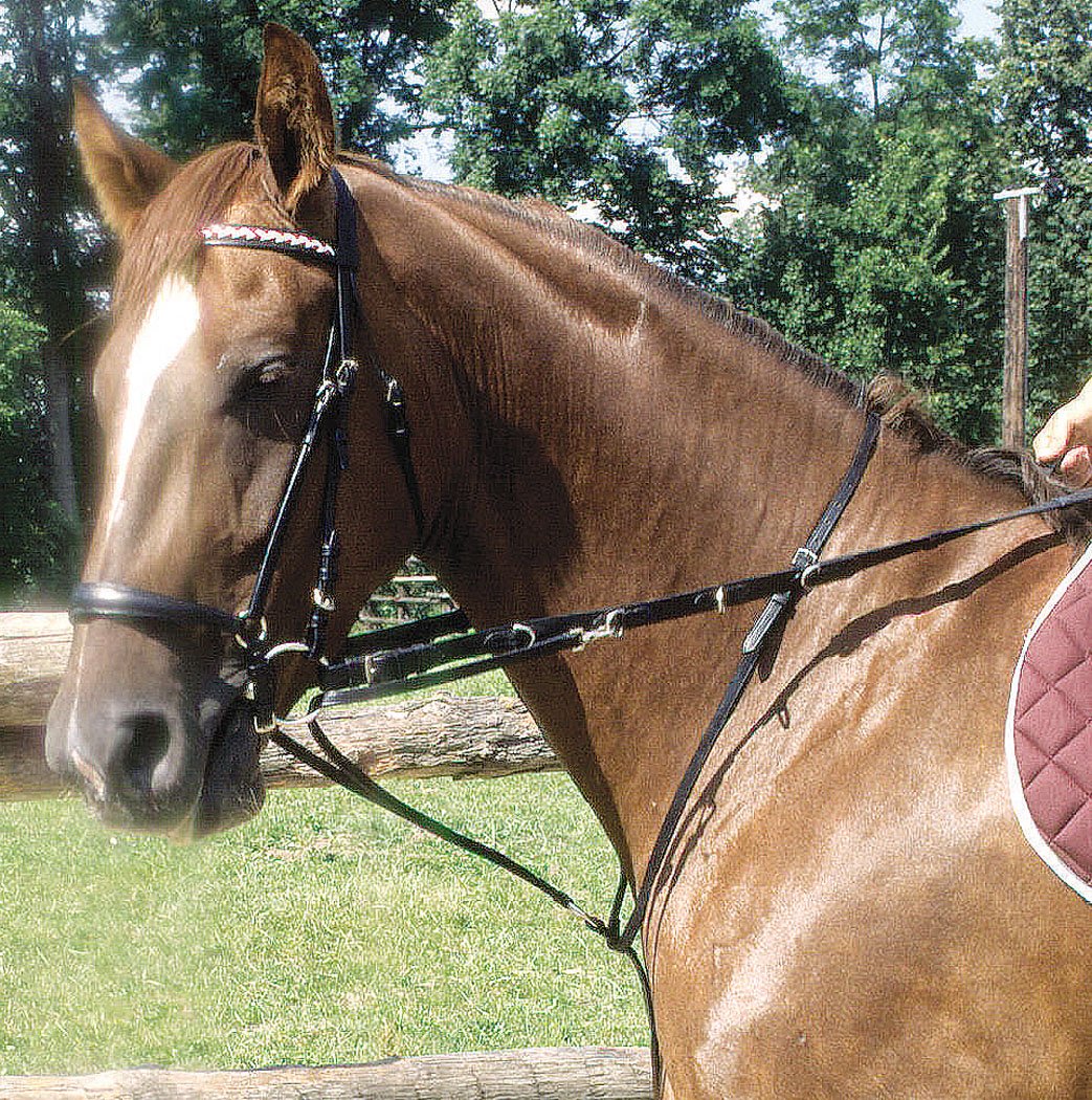 Thiedmann Reins / German Martingal Combination / Black with Silver-Coloured Decorations / with Adjustable Neck and Chest Straps