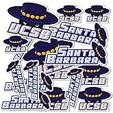 Desert Cactus University of California Santa Barbara Sticker UCSB Gauchos Vinyl Decals Laptop Water Bottle Car Scrapbook Sheet T1 (Type 1-1)