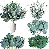 Lesmore 60 Pcs Eucalyptus Leaves Stems Bulk, Mixed Artificial Bundle Faux Spray Silver Dollar Eucalyptus Leaves Greenery Stems for Wedding Bouquet, Floral Arrangement and Vase Decoration