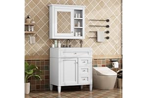 Linique 30'' Bathroom Vanity with Top Sink,Modern Bathroom Cabinet with 2 Drawers and a Tip-Out Drawer,Single Sink Vanity,Freestanding Vanity Set with White Mirror Cabinet(White)