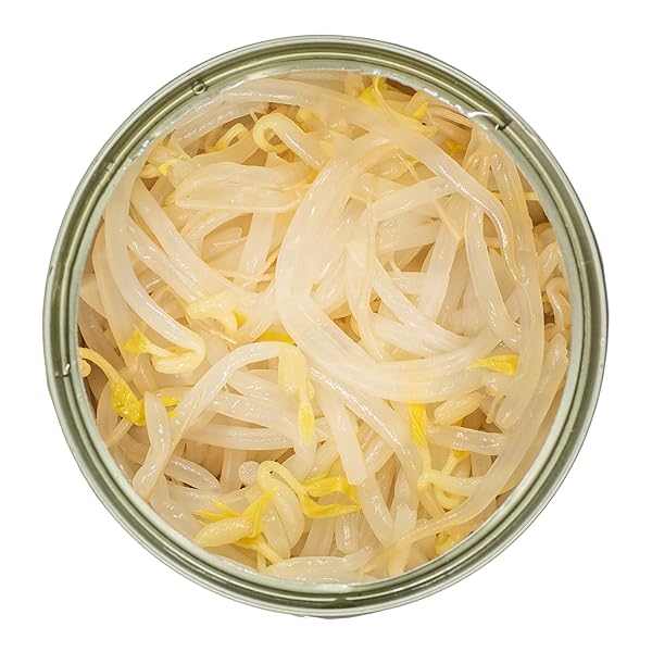 MW POLAR CANNED VEGETABLES, BEAN SPROUTS, 15 -OUNCE (PACK OF 12)