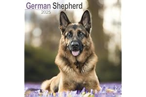 German Shepherd Calendar 2025 | Square Dog Breed Wall Calendar - 16 Month