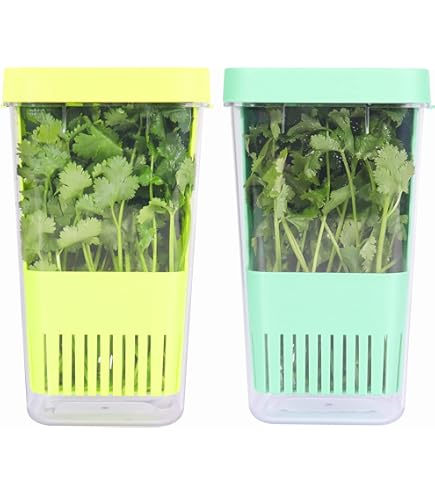 Amazon.com: LAWNFUL 2 Pack Fresh Herb Keeper for Refrigerator