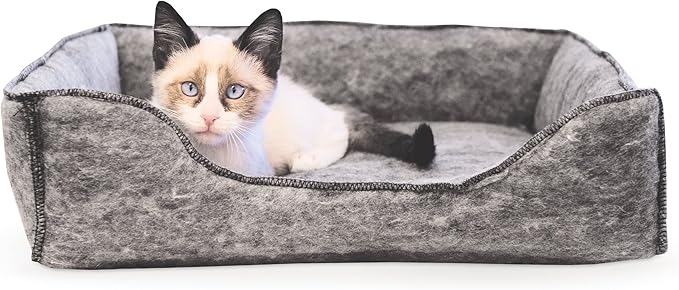 martini the fabulous cat lounger