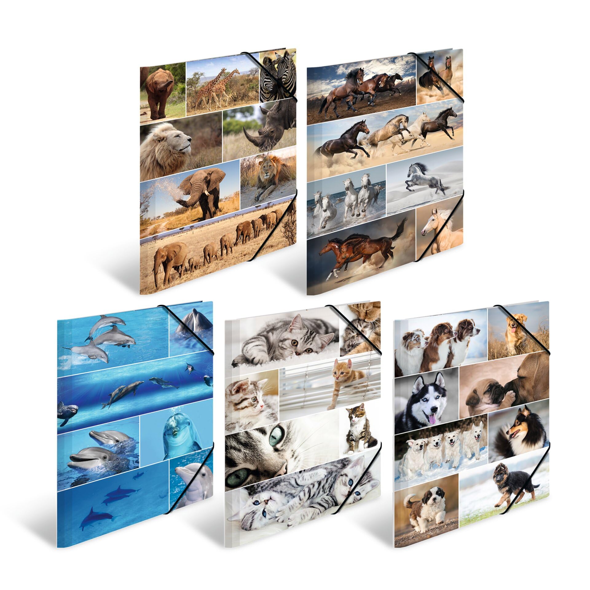 HERMA Elastic Folder Animals, Assorted Colourful Designs, A3, Sturdy Cardboard, with Inner Print, Pack of 10