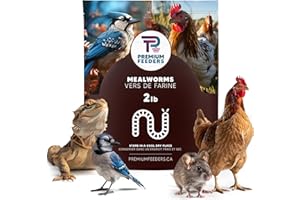 2LB - MEALWORMS by Premium Feeders – Approx 32000+ Dried Mealworms - Chicken & Bird Feed - Meal Worms Treats - High Protein –