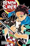 Demon Slayer: Kimetsu no Yaiba, Vol. 1