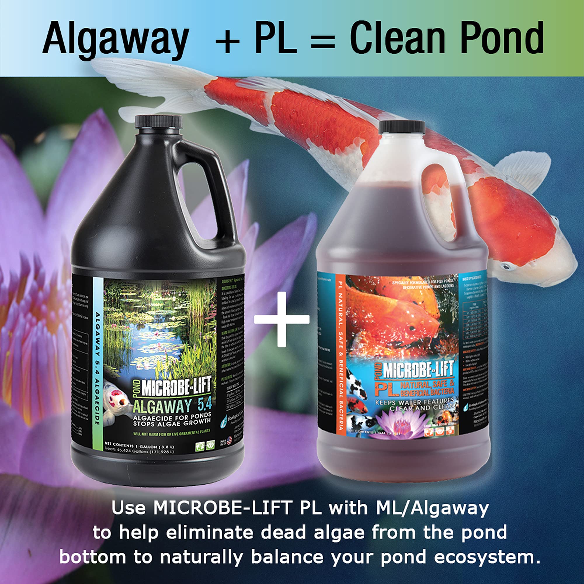 Mua MICROBE-LIFT ALGA16 Algaway 5.4 Algae Control Treatment for Ponds ... - Goldfish Algae Control System For Expert Tankers