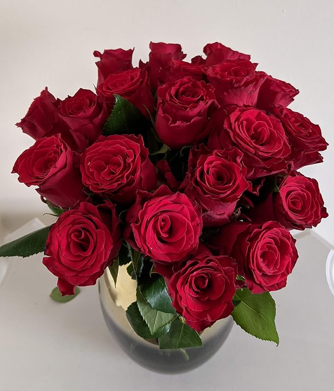 Flowers Delivered Next Day Prime, Beautiful Fresh 20 Red Roses Bouquet