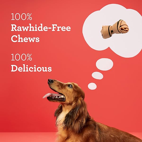 DREAMBONE DENTAL DOG CHEWS, RAWHIDE FREE DENTAL TREATS FOR DOGS, HELPS REDUCE TARTAR AND FRESHENS BREATH, 16 COUNT