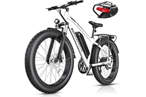 Funhang Electric Bike for Adults, Peak 1000W Ebike, 25MPH 60Miles Electric Mountain Bike, 26" Fat Tire Adult Electric Bicycle with 48V 13AH Battery, Rear Rack, 7 Speed, Front Suspension, Turn Signal