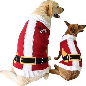chewy dog christmas sweater