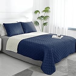 Easy-Going King Size Reversible Quilt Set with 1