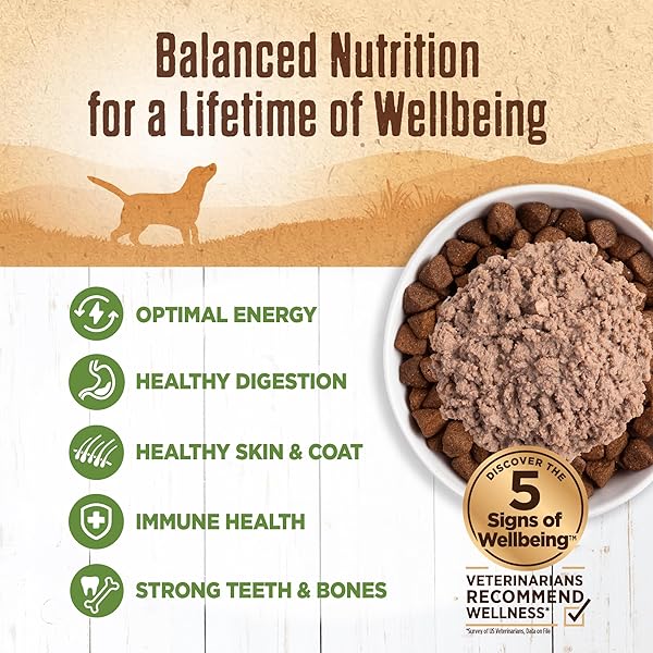 WELLNESS 95% LAMB NATURAL WET GRAIN FREE CANNED DOG FOOD, 13.2-OUNCE CAN (PACK OF 12)