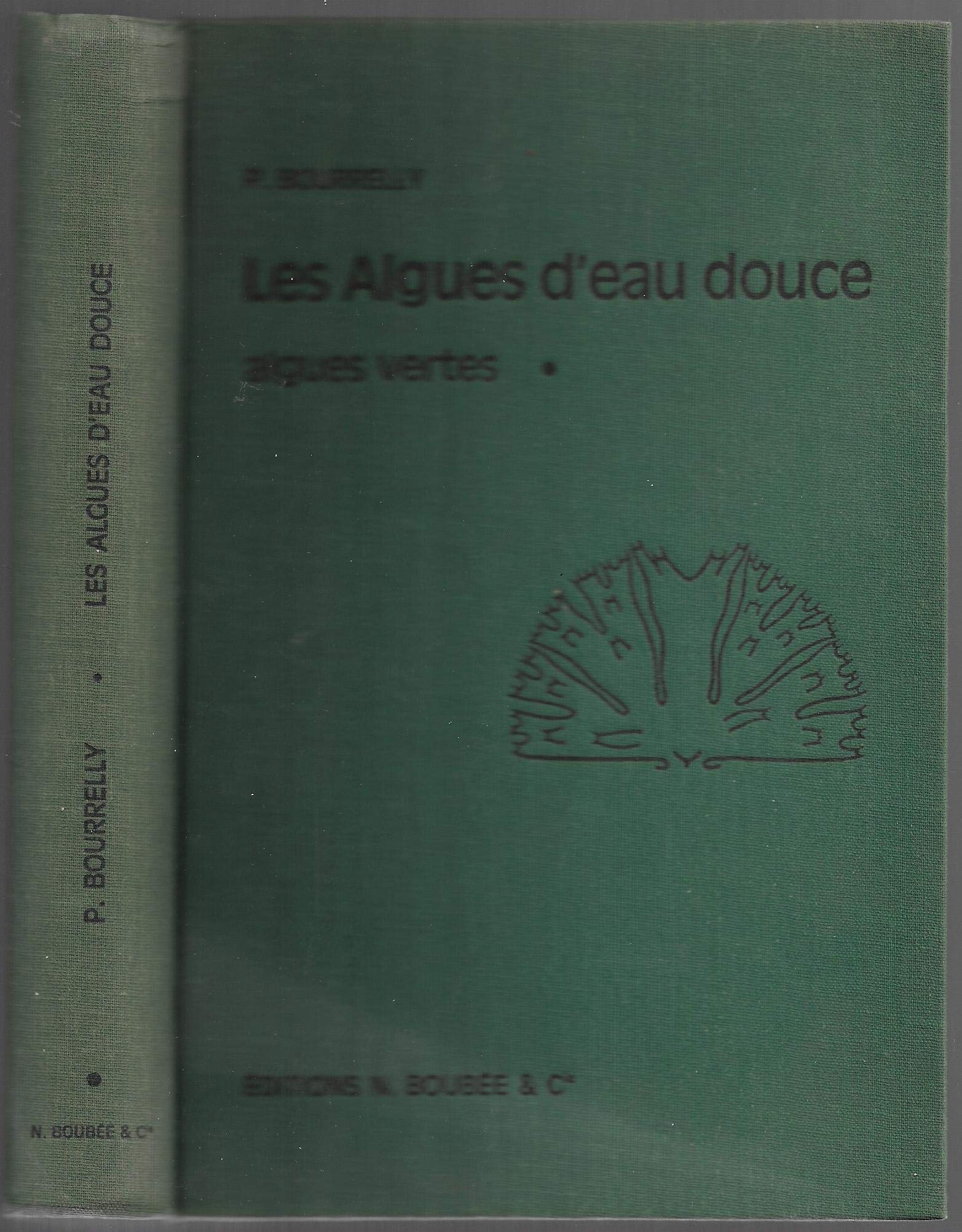 Les Algues D Eau Douce Tome 1 Algues Vertes Bourrelly P B W Illustration Amazon Com Books