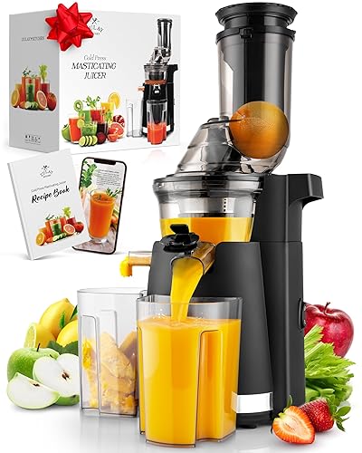 Cold Press Juicer Fruit Juicer Price In Amazon Zulay Fruit Press