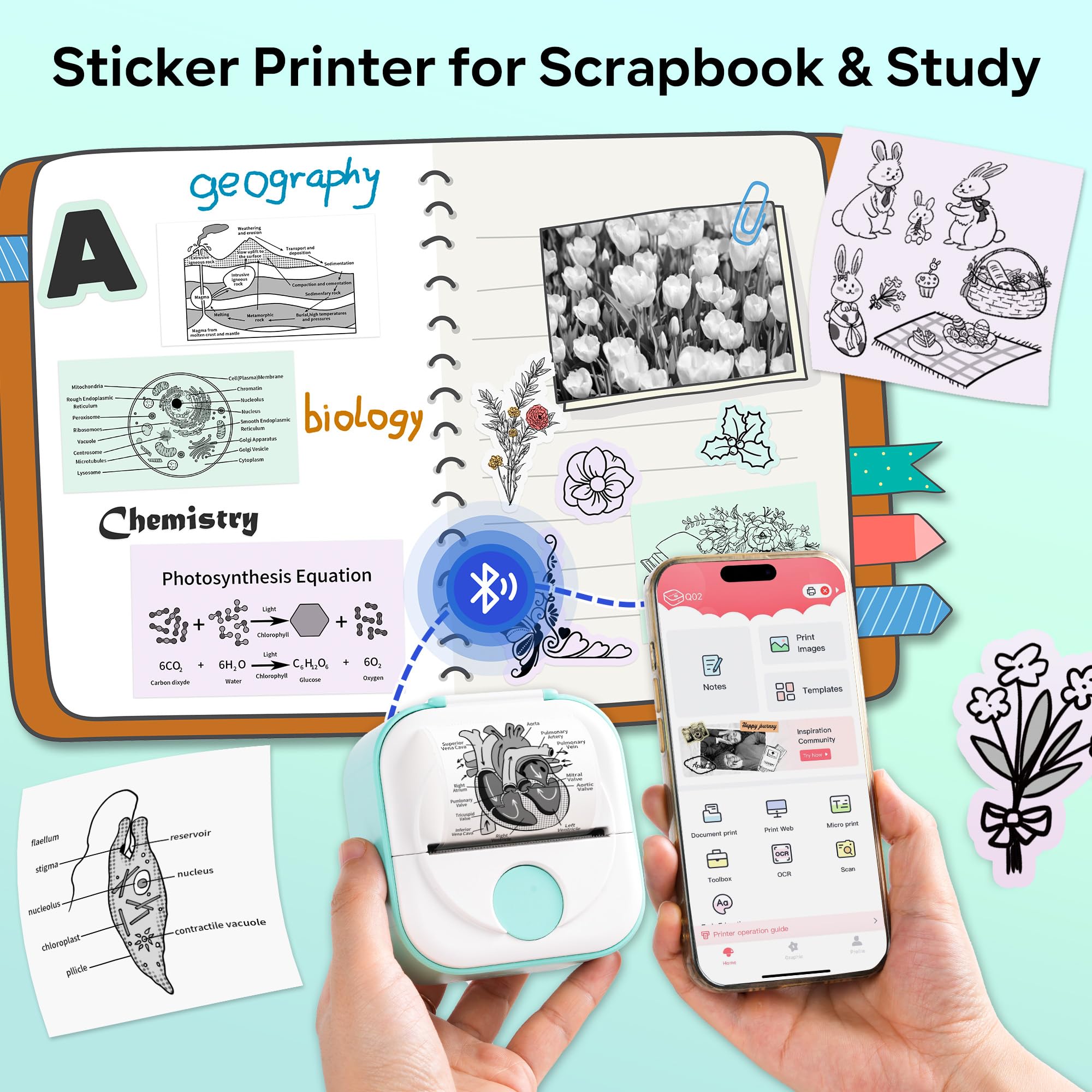 Phomemo Q02 Mini Drucker, Tiny Printer für Studium, Notizen, Bilder, Fotos, Tagebücher, Heimwerken, Sticker Drucker Kompatibel mit Telefon & Tablet, Handy Druckers mit 3 Rollen Papier, Grün 2