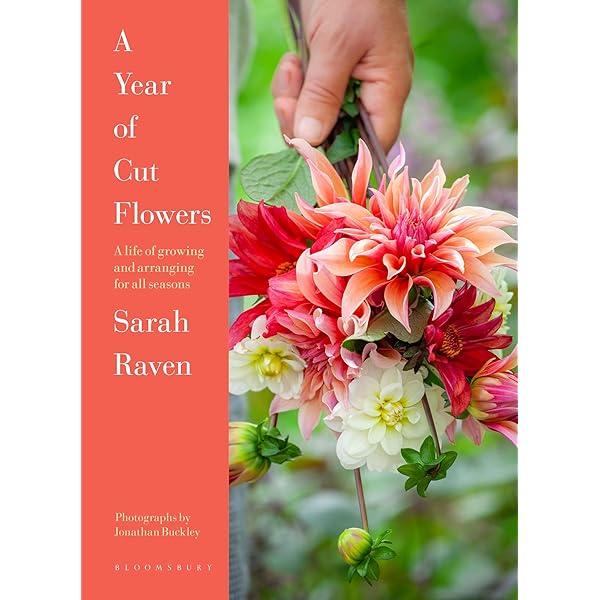 A Year Full of Flowers: Gardening for all seasons: Raven, Sarah
