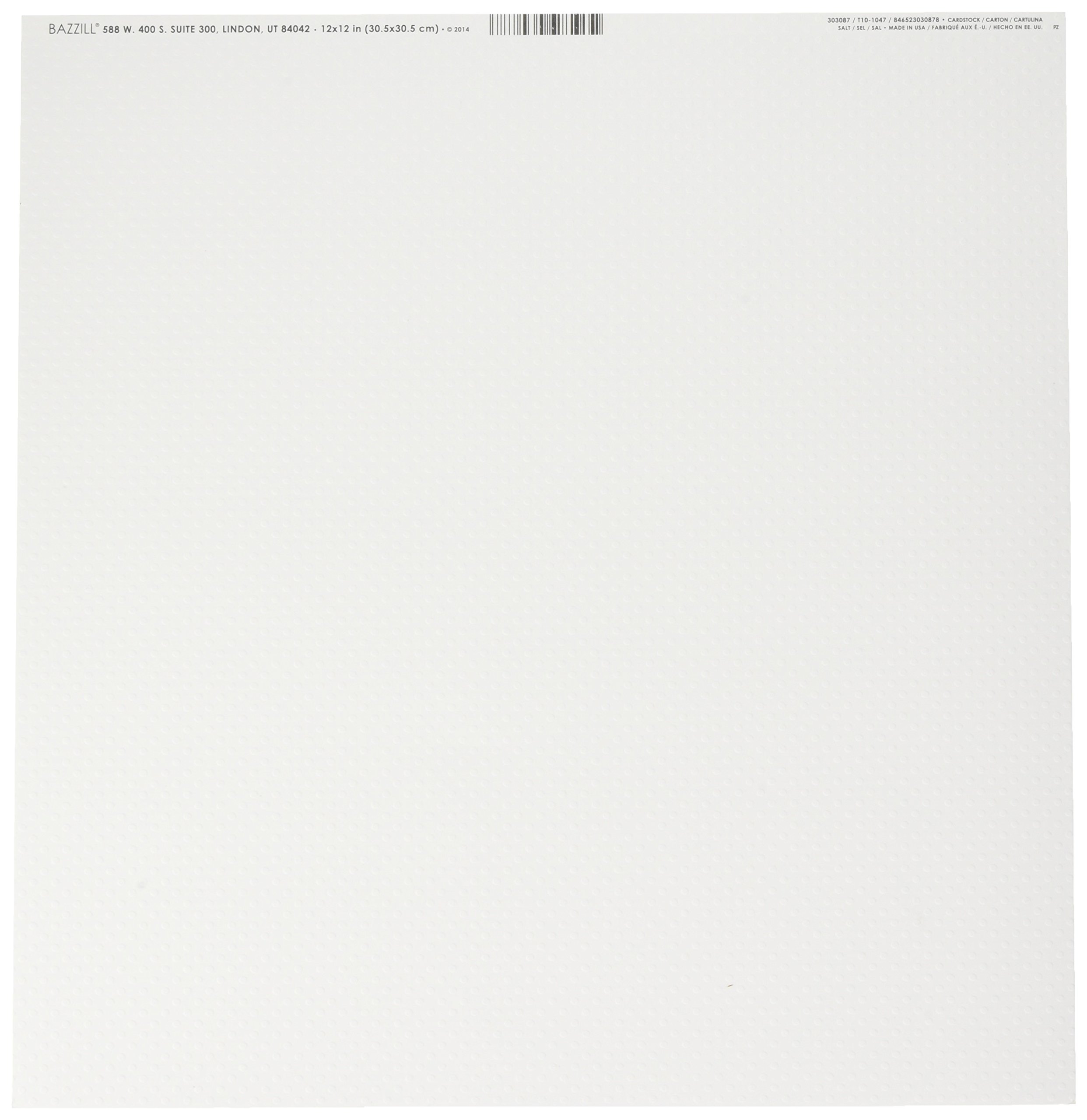 BazzillBasics Paper 12x12 Dotted Swiss Salt Card Stock(25 sheets),White