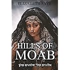 Hills of Moab: A fictional novel based on the story of Ruth