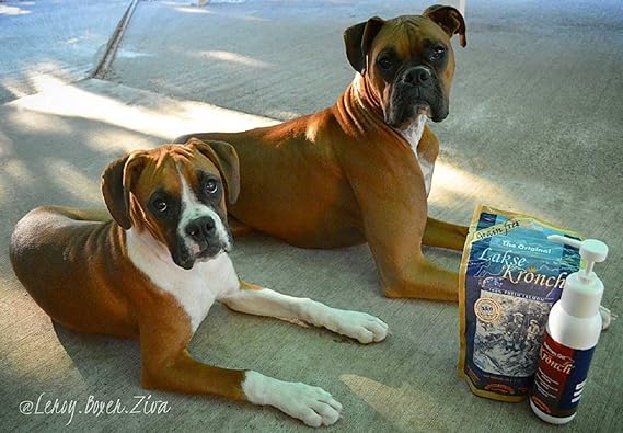 kronch salmon oil for dogs