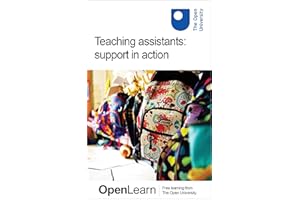 Teaching assistants: support in action