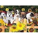 Buffalo Games - The Gang's All Here - 300 LARGE Piece Jigsaw Puzzle