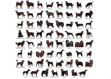 Amazoncom Dogs Of The World Popular Breeds Chart Poster