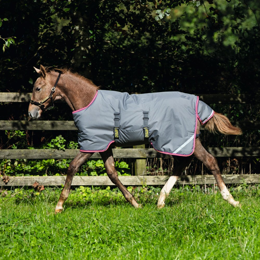 Rugs & Blankets Horseware Ireland Amigo Foal Rug ARRH1V Excalibur