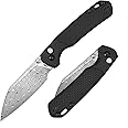 CJRB Pyrite-Light Pocket Knife, 3.34'' Damascus Steel Blade Folding Knife with Pocket Clip, Pocket Knife for Men Women Sharp Camping Hiking EDC Knives J1945D