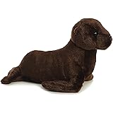 sea lion teddy